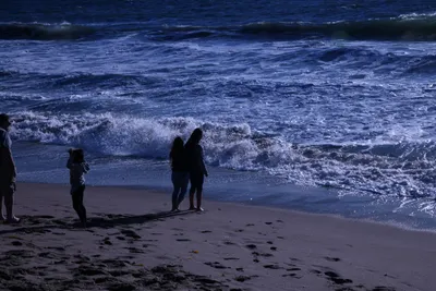 DSC_0402 (Large).JPG